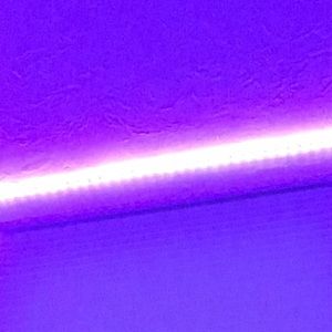 Meet your Posher, Angelina